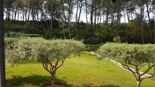 B&B La Maison Du Castellet