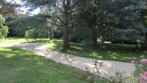 Bed & Breakfast Ch�teau De La Frogerie