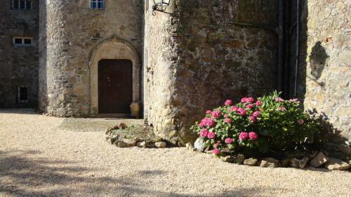 Bed & Breakfast Ch�teau De La Frogerie