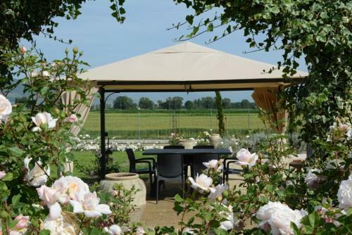 Bed & Breakfast Il Fienile Di Assisi