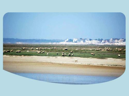 Bed & Breakfast La Ferme Du Parc