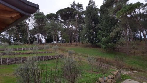 Agroturismo Agriturismo Podere Montese