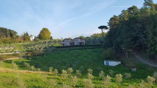 Agroturismo Agriturismo Podere Montese