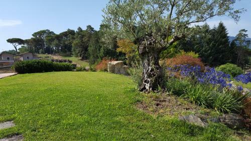 Agroturismo Agriturismo Podere Montese
