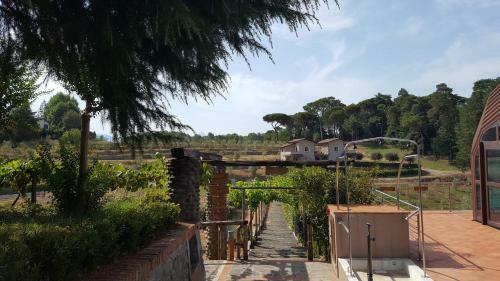 Agroturismo Agriturismo Podere Montese