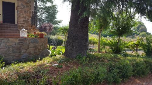 Agroturismo Agriturismo Podere Montese