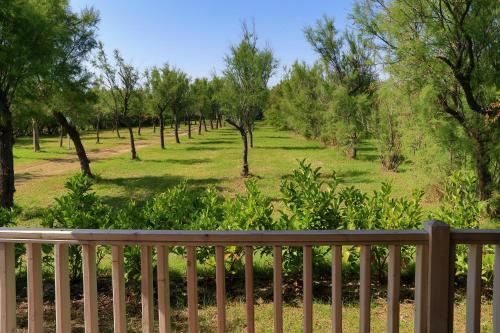Happy Camp Mobile Homes In Torre Rinalda Camping Village