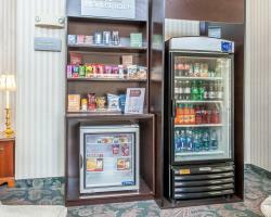 Hotel Comfort Suites