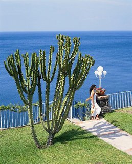 Hotel Continental Mare