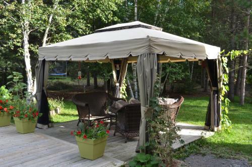 Bb Saffron Tremblant