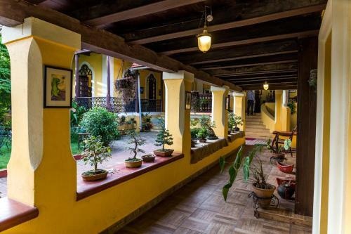 Casa Menezes - The Goan Heritage Homestay