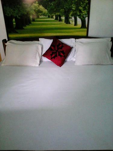 Hostal Lotus Inn Tourist Resort
