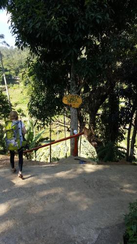 Hostal Silent Nest