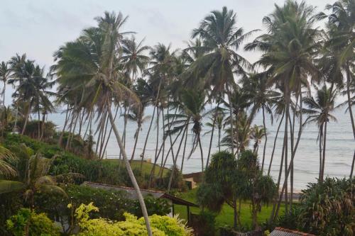 Surf Lanka Hotel