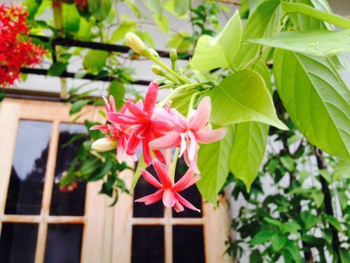 Manik Home Stay