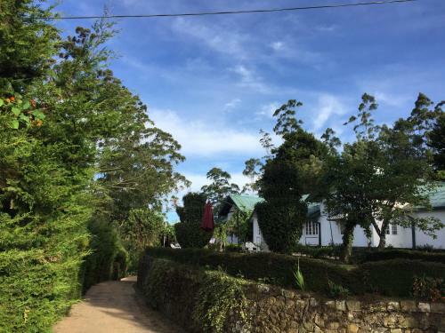 The Trevene Hotel