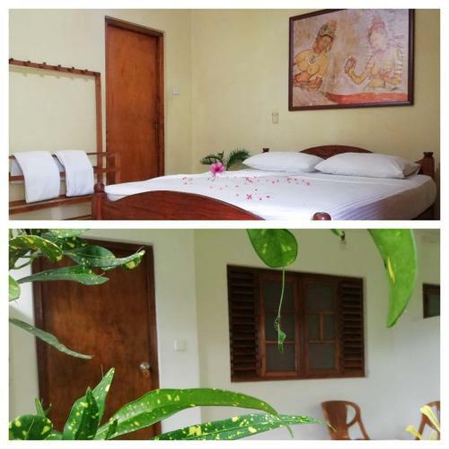 Bed & Breakfast Palm Garden Guest House