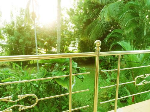 Bed & Breakfast Palm Garden Guest House