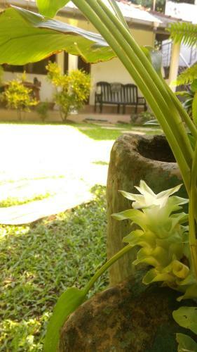 Bed & Breakfast Palm Garden Guest House