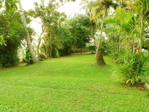Bed & Breakfast Palm Garden Guest House