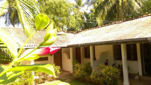 Bed & Breakfast Palm Garden Guest House