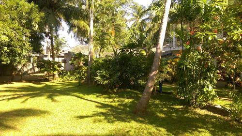 Bed & Breakfast Palm Garden Guest House
