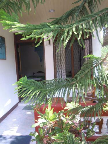 Hostal Devi Tourist Home
