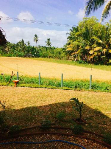 The Green View Yala
