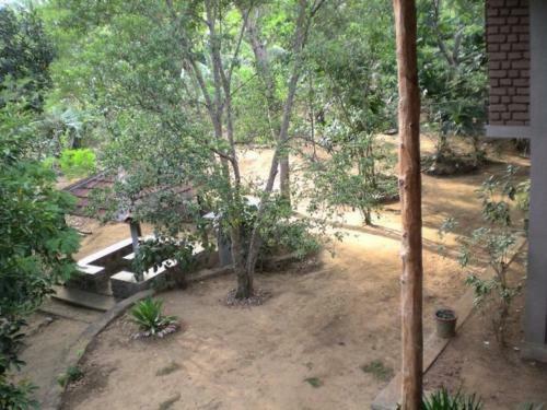 Jungle House