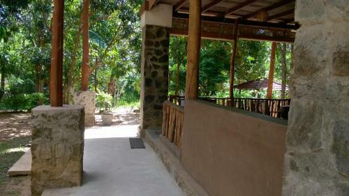 Jungle House