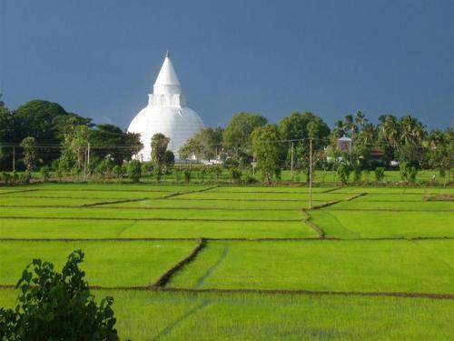 Hotel Nature Resort