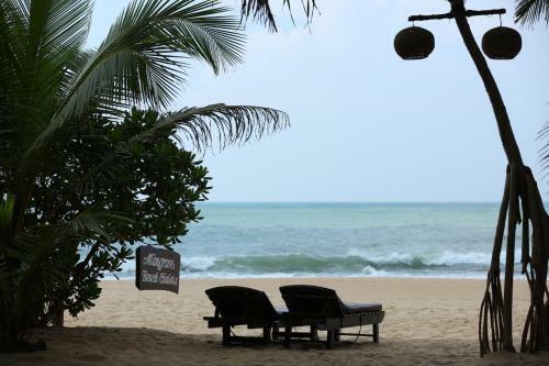 Mangrove Beach Chalets