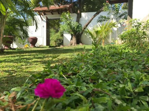 Bed & Breakfast Yala Golden Park