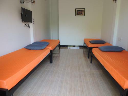 Little Leo Homestay And Hostel