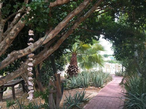 Bed & Breakfast Landhuis Bona Vista