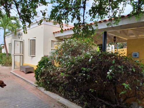 Bed & Breakfast Landhuis Bona Vista