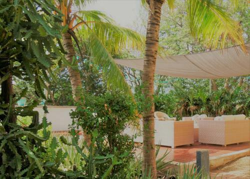 Bed & Breakfast Landhuis Bona Vista