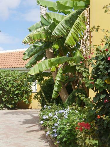 Bed & Breakfast Landhuis Bona Vista
