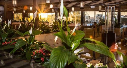 Olive Tree Hotel Amman