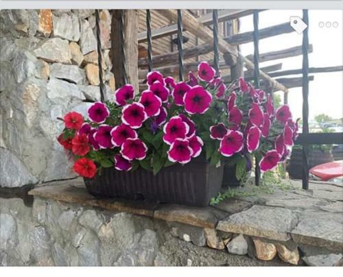 Hotel Buhlevata Vodenitsa