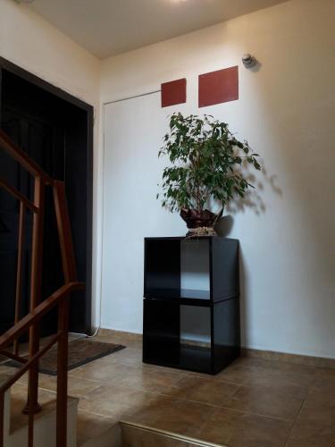 Kiril I Metodii Square Apartment