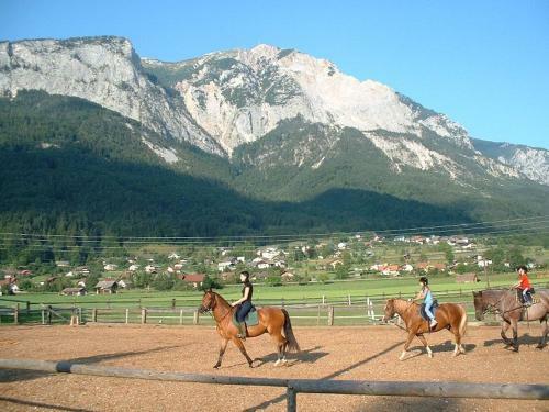 Apartment Irmgard