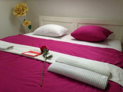 Hostel Lega House