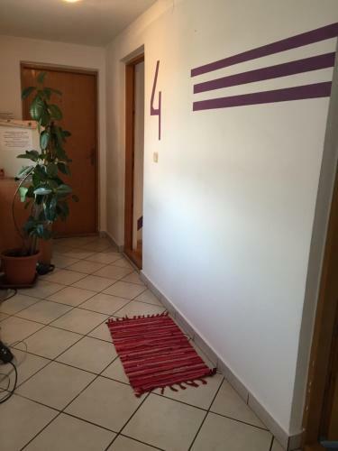 Hostel Lega House