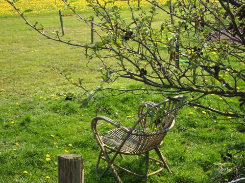 Bed & Breakfast Thuis Op Texel