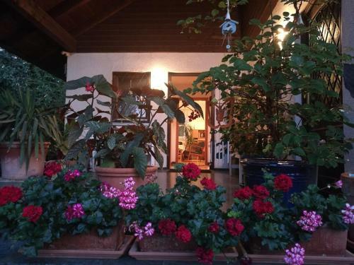 Apartment Haus Merlin Am B�ckelsberg