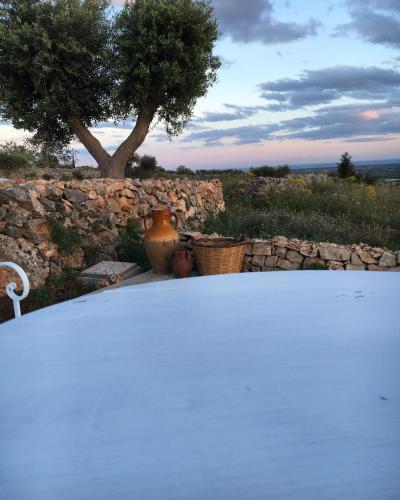Bed & Breakfast La Casa Di Gioia