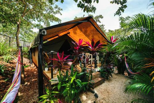 Hotel Flor Y Bambu
