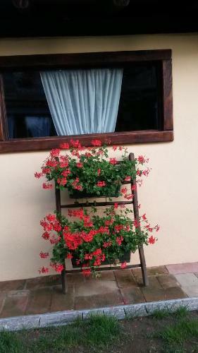B&B Il Salice