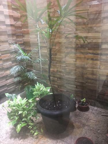 Hotel Gr�o Para